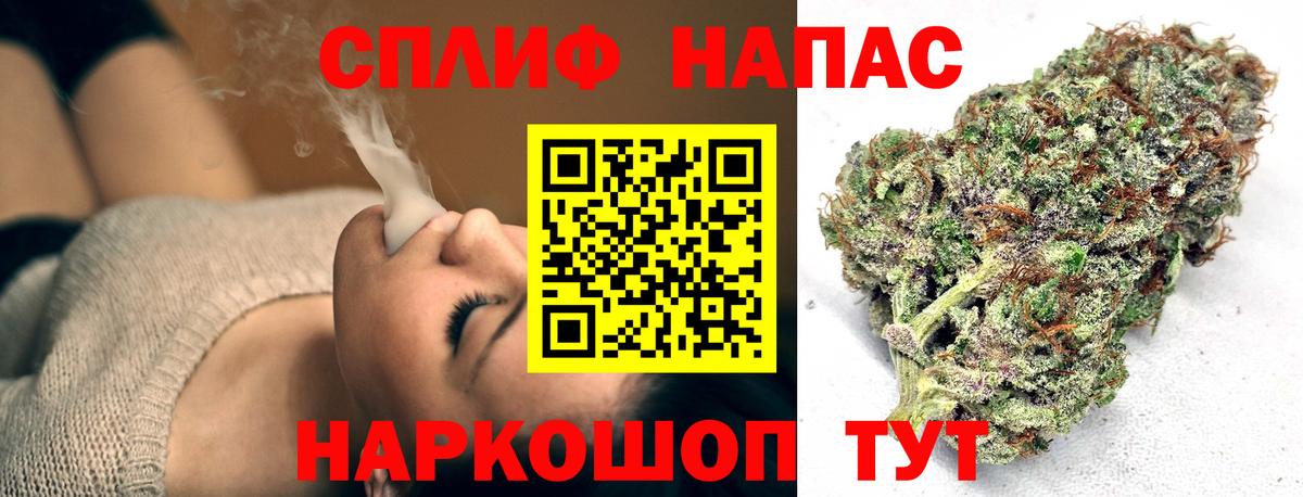 Шишки марихуана конопля Дальнегорск
